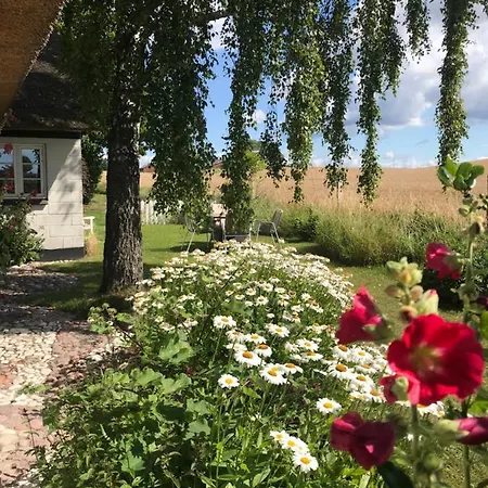 Svalebolle Bed and breakfast 4*