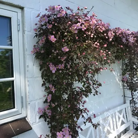 Bed & Breakfast Svalebølle Tranekær
