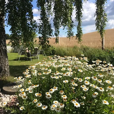 Svalebolle Bed and breakfast