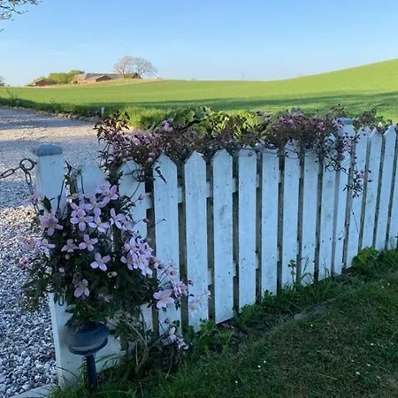 Svalebolle Tranekær