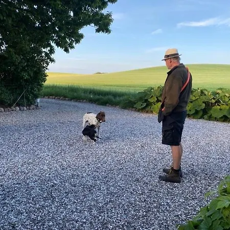 Bed and breakfast Svalebolle Tranekær