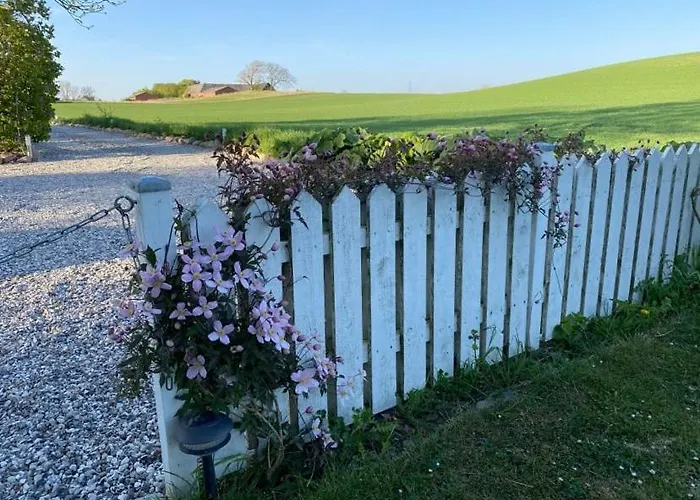 Svalebolle Tranekær