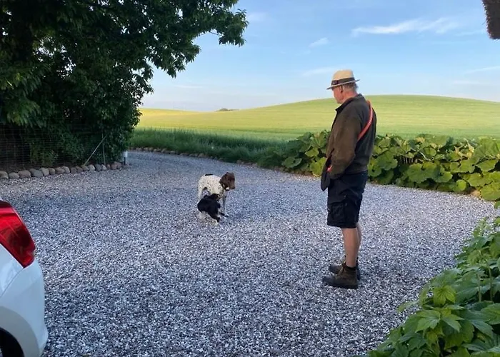 Frühstückspension Svalebolle Tranekær